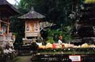 Tempel Pura Tirta Empul in Tampaksiring 2.